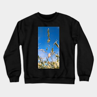 Bamboo and Snow 3 Crewneck Sweatshirt